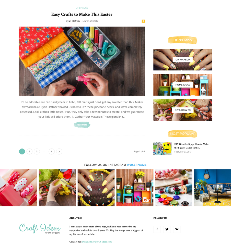 Craft Blog Website Design with Free VPS Web Hosting and Installation | eBay