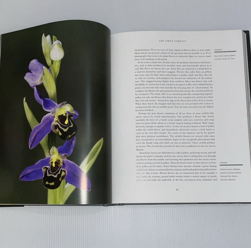 Life On Earth By David Attenborough HC Book (1979)- A Nature History - Animals - Bild 8 von 10