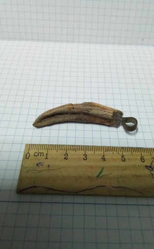 Amulet fang tooth in the style of Vikings Kievan Rus 9-13 century - Picture 8 of 9
