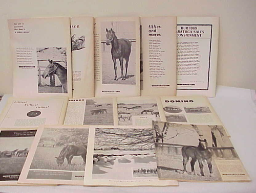 LOT OF 13 VINTAGE THOROUGHBRED RECORD MAGAZINE ISSUES ALL FROM 1969 JAN FEB MAY - Picture 10 of 16