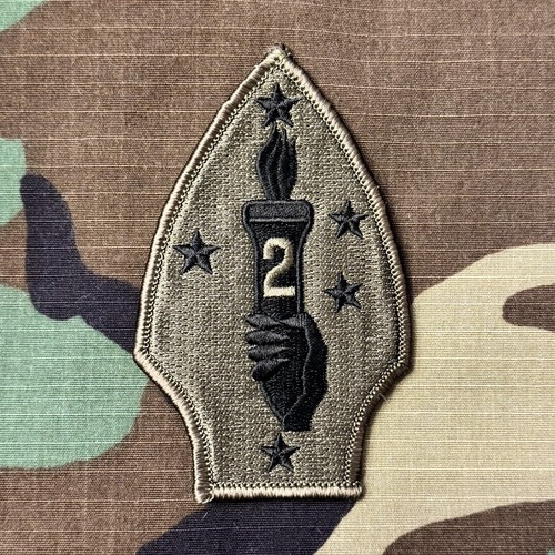 2nd Marine Division USMC BDU Patch - Picture 3 of 4
