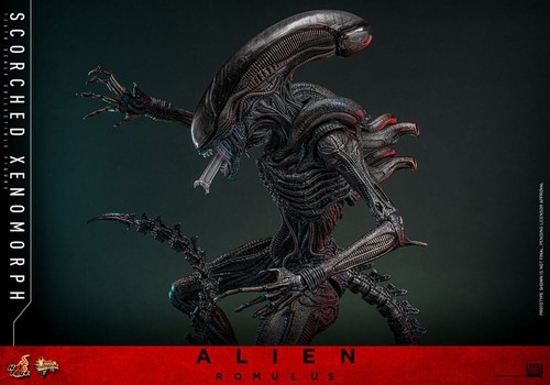 PRESALE COUPON €449,00 Hot Toys ALIEN Romulus SCORCHED XENOMORPH 1/6 Doll FIGURE - Picture 9 of 15