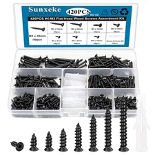 420PCS M3 Small Wood Screws Assortment Kit,Phillips Drive One Size, Black 