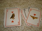Foto 5 di 6