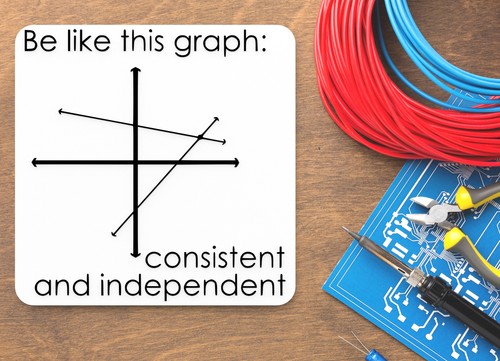 Be Like This Grafik konsistent und unabhängig | Lustiges Schild für Zuhause oder Büro - Bild 4 von 4