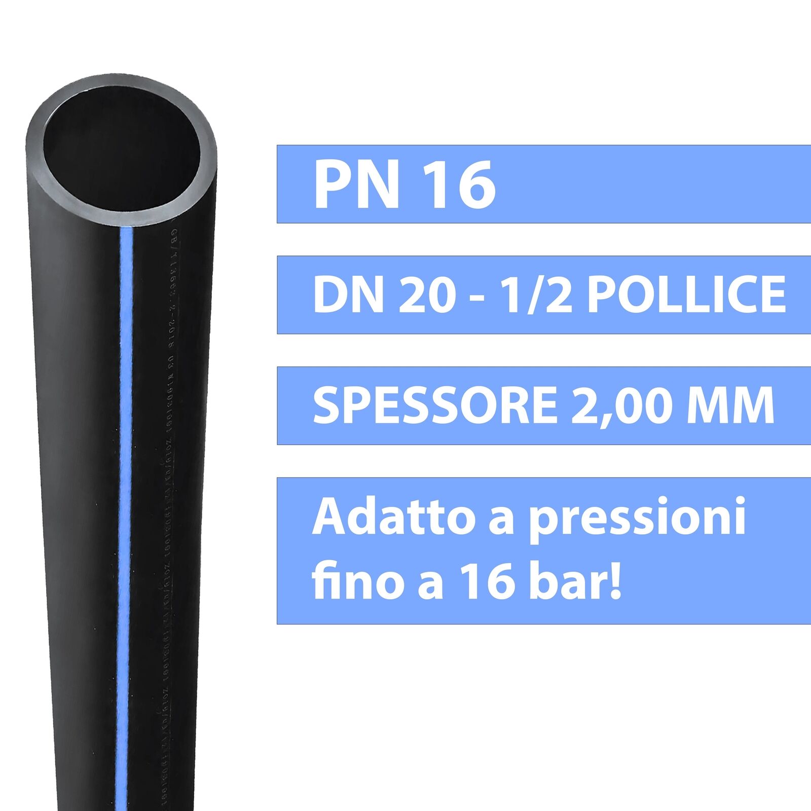 Foto 7 di 9