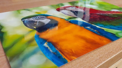 105 Sheets, 200gsm Premium A4 Photo Paper Glossy for Inkjet Printer by Go Inkjet - Afbeelding 8 van 12