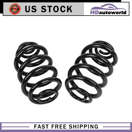 Set of 2 Rear Coil Springs For BMW X3 2004-2010 L6 2.5L 3.0L 33533413081 RJ6641 - Picture 1 of 6