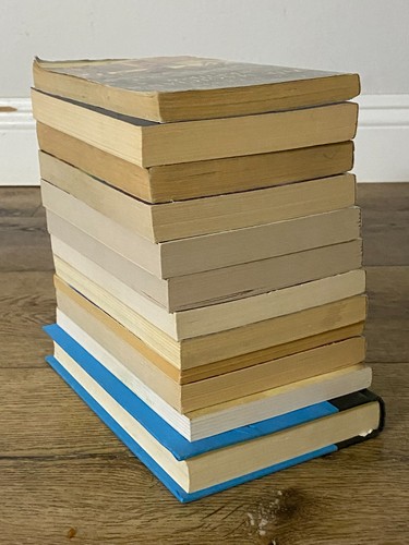 BOYS Chapter Books Lot of 12 ~ 8-12 Years Old - Classroom Library Homeschool - Picture 13 of 14