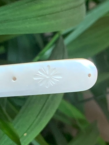 19th C. English Sterling Silver Mother of Pearl Fruit Pocket Folding Knife c1894 - Picture 11 of 19