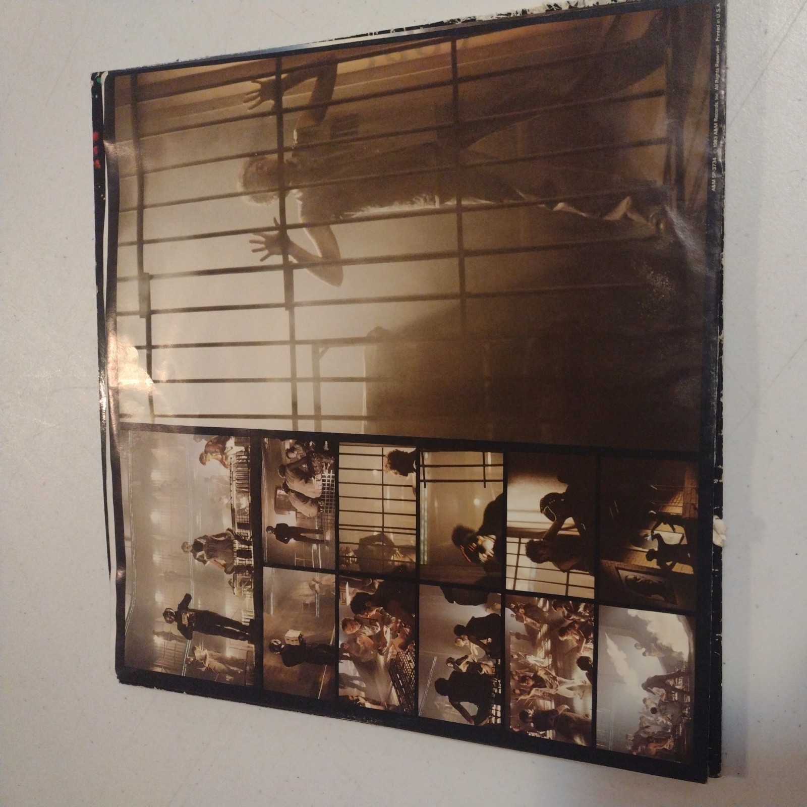 Picture 6 of 9