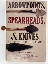 2007 Arrowpoints, Spearheads &amp; Knives Prehistoric Times T. Wilson Reprint 1899