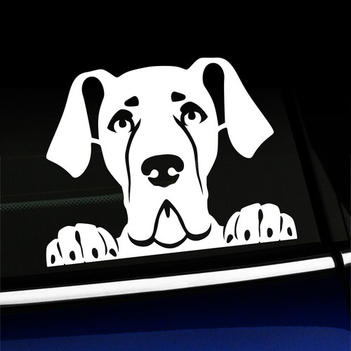 Peeking Great Dane - Cute Dog Decal - You choose the color - Picture 1 of 26