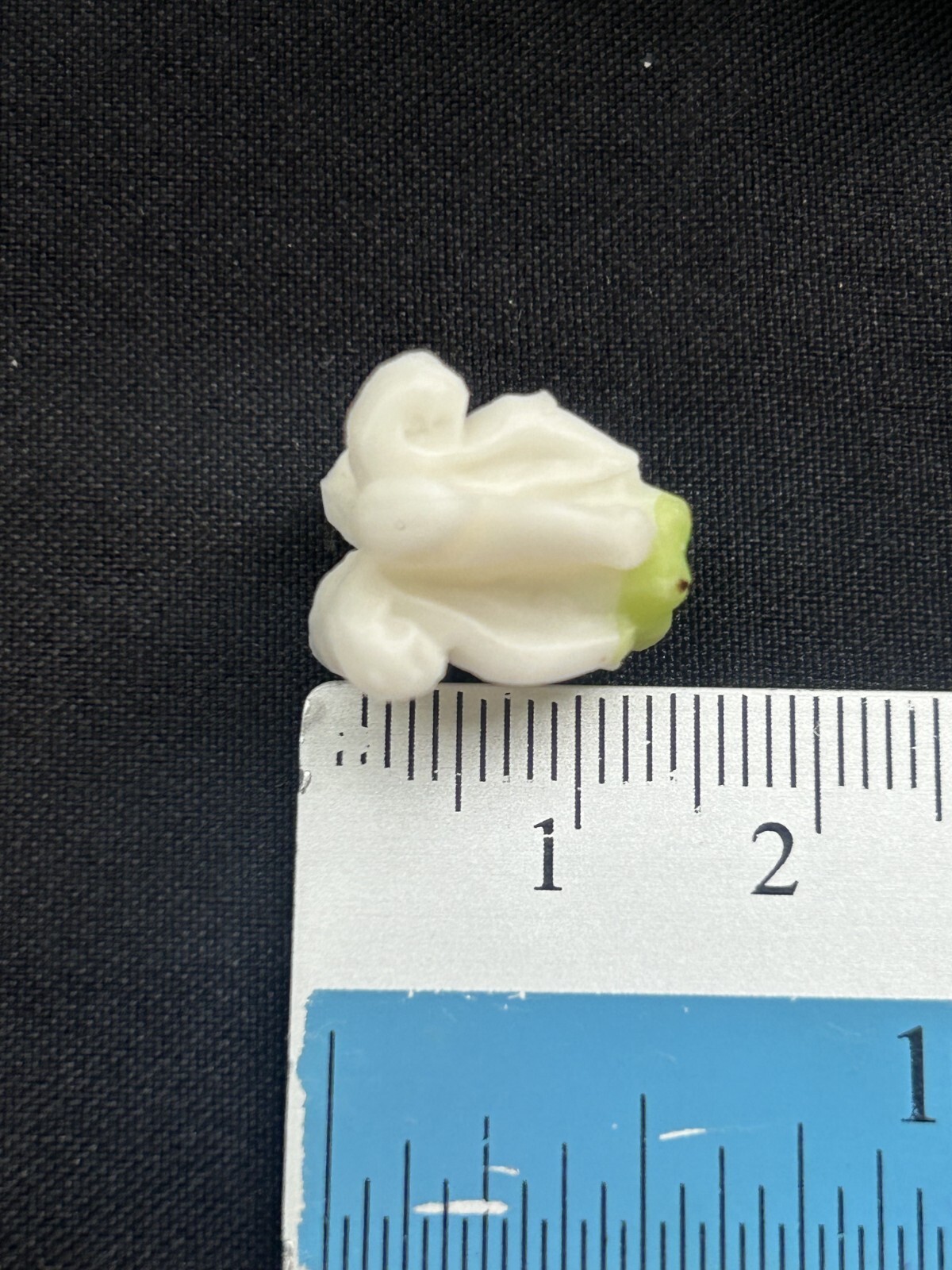Picture 7 of 24