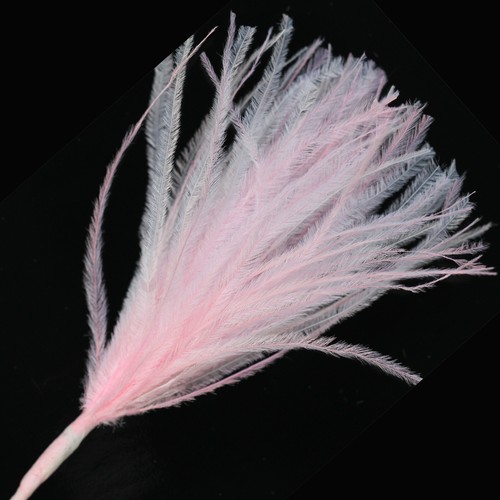 Wisps Ostrich Feathers - Double Cols - Wired Stem - Fluffy & Soft - 9 Colours - Picture 10 of 10