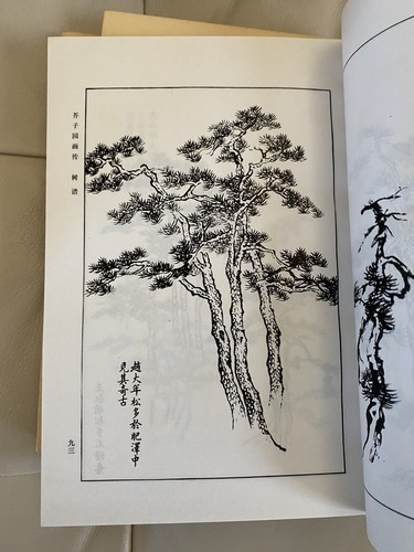 Vintage Chinese Book 芥子園畫傳(全三冊) Paperback 1979 - Picture 15 of 20