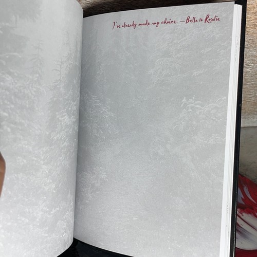 Lote de 2 The Twilight Saga Luna Nueva, Eclipse A Diario Tapa Dura Nuevo LEER POR FAVOR - Imagen 15 de 18