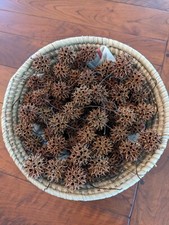 150 Sweet Gum Tree Balls