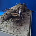 Bild 17 von 24