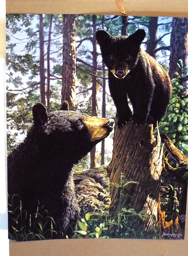 OSOS Y CACHORROS, DE BRUCE MILLER, - Imagen 2 de 2