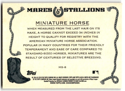 Miniature Horse 2019 Topps Allen & Ginter Mares & Stallions #MS-8 - Picture 2 of 2
