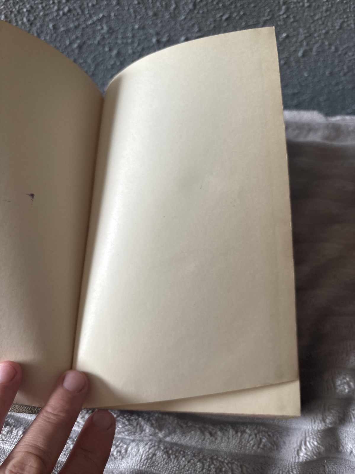Bild 14 von 24