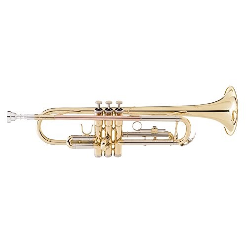 - Standard (TR-430) Brass Trumpet - Picture 5 of 7