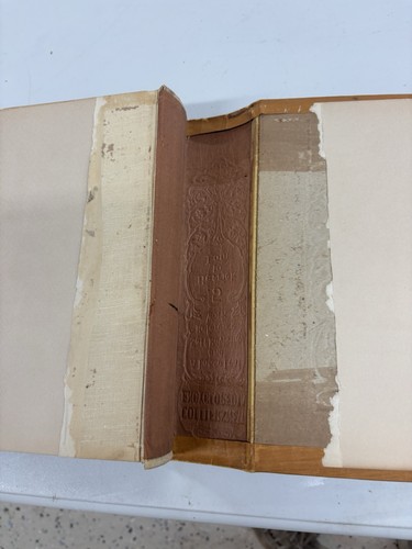 1921 Collier's New Encyclopedia Complete Set 11 Volume With Revision & Manual - Bild 9 von 24