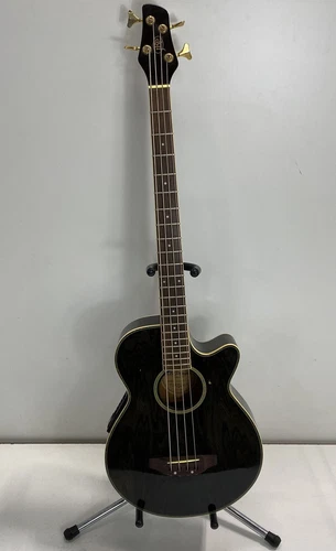 J.B. Player Acoustic-Electric Bass