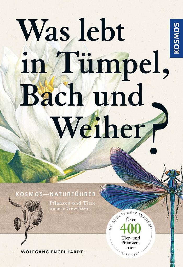 Was Lebt In Tümpel, Bach Und Weiher? | 2020 | Deutsch