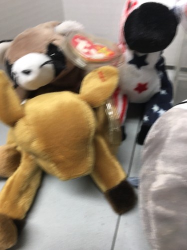 TY 2000 Beanie Baby 7" Patriotic Donkey Plush w/Tags Plus Others Listed Set. ! - Picture 4 of 12