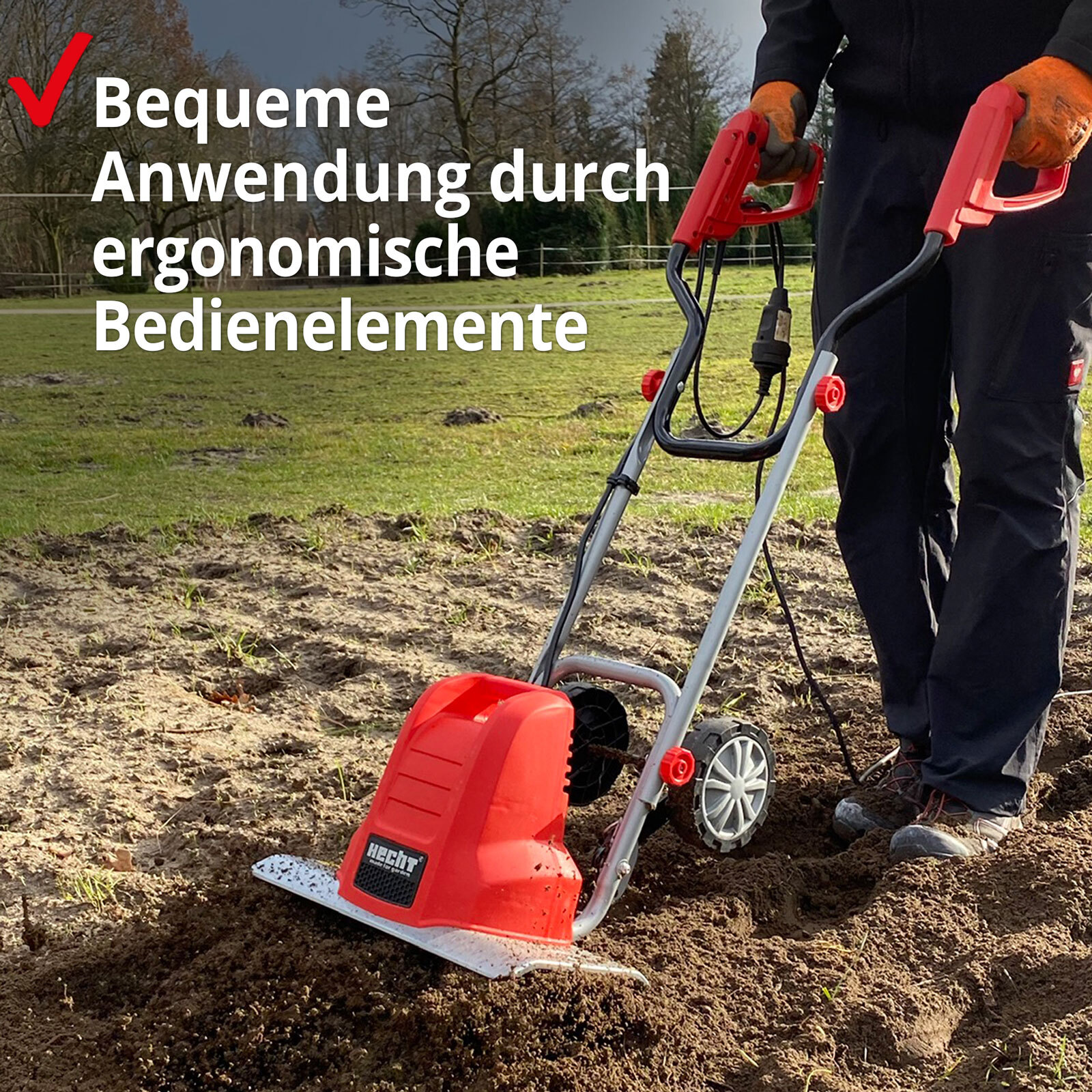 Bild 5 von 12