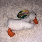 Picture 9 of 10
