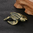 Solid Brass Turtle Ornaments Turtle Statue Animal Figurines Crafts Gift 