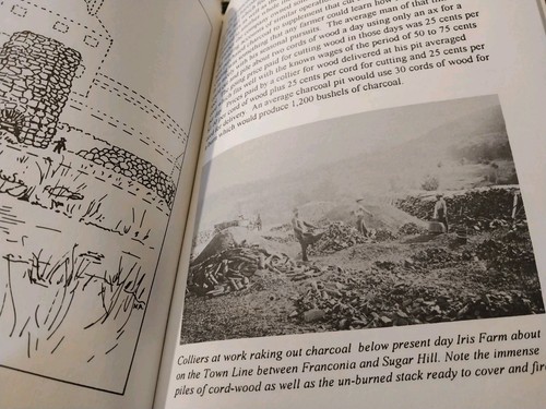 Die Eisenindustrie in Franken & Zuckerberg 1806 - 1860 / Top - Bild 6 von 10