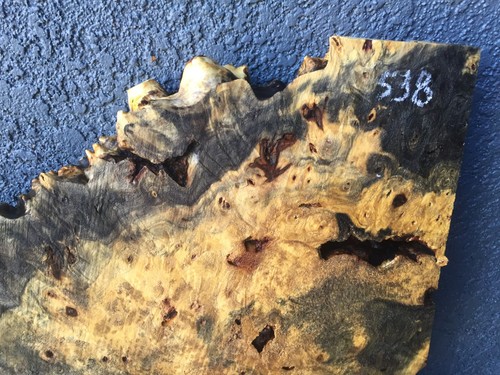 Buckeye Burl Natural Edge Slab Crafts 2" x 13-19 1/2" x 23 1/2" #538 - Picture 5 of 17