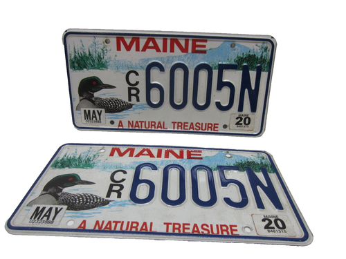Excellent PAIR of 2020 Maine LOON License Plate "6005N" as pictured