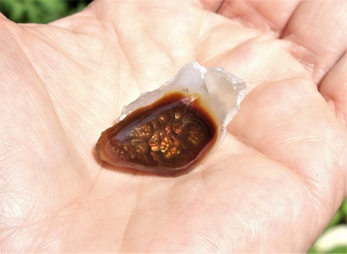Esemplare di agata da fuoco dolce iridescente dal Messico 49,6 cts - Foto 15 di 16