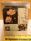 Cypress Textured Glass Coasters Set Of 4 on Wooden Caddy 4" x 4" New with Tag