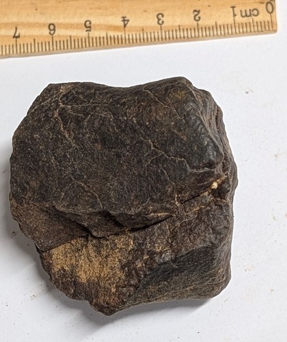 202 Gram Unclassified NWA METEORITE (#F6658) - Picture 2 of 5