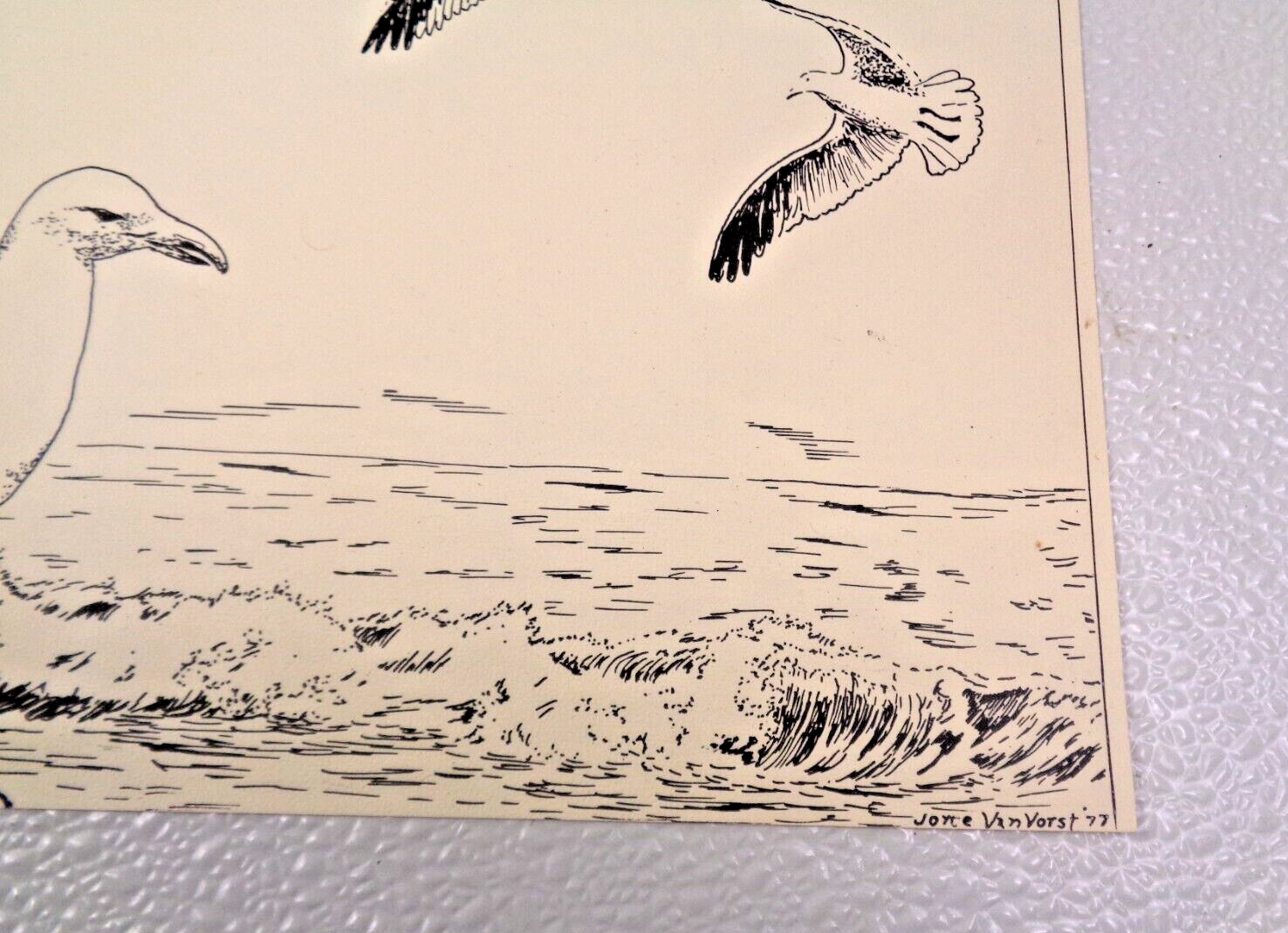 Picture 8 of 12