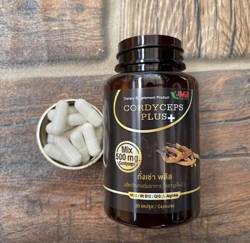 Cordyceps Sinensis & Cordyceps Militaris Extrakt: Hochkonzentriert 3x30 Kapseln - Bild 7 von 9