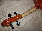 Picture 12 of 24