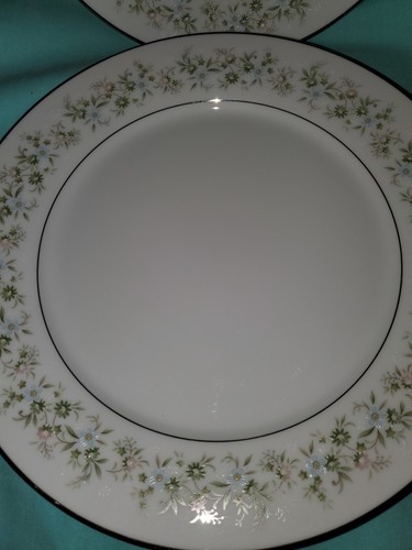 Lot of 2 NORITAKE Savannah 2031 Dinner Plates Made in Japan Excellent - Picture 3 of 5
