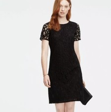Ann Taylor Dress 4 Lace Shift Short Sleeve Cocktail Little Black Dress
