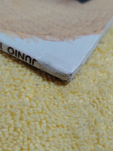 PLAYBOY Rare ( SASKIA LINSSEN ) Magazine Mexican Edition, June 1991 - Bild 6 von 9