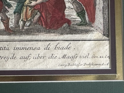 Rare1 8th C. Hand-Colored Copperplate Engravings, George Balthasar Probst Framed - Picture 7 of 14