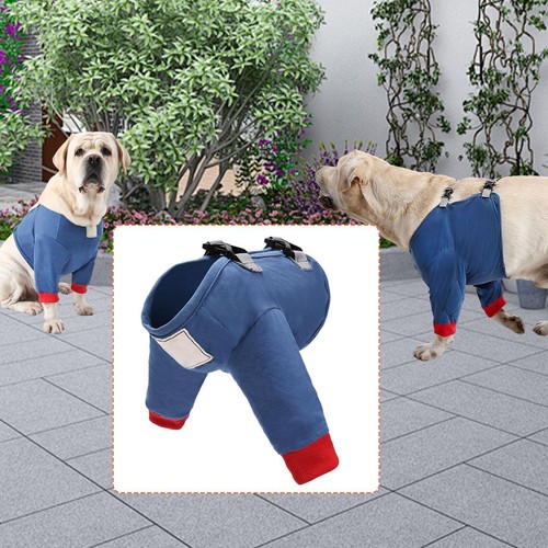 Kit De Récupération Pour Chiens - Body De Chien Doux Et Protecteur Pour Apres Operation Xl