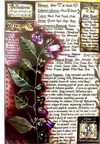 The Witches Moon - Lot of 7 5" x 7" Art Prints - Herbal, Magick, Witchcraft - Picture 5 of 8