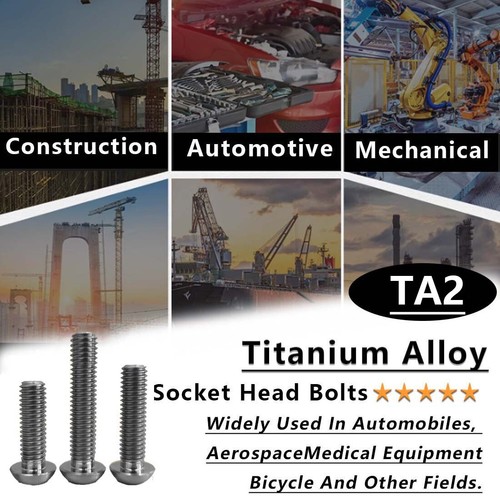 TA2 Titanium Bolt M3 M4 M5 M6 GR2 ISO7380 Hex Socket Bolts Button Head Screws - Picture 3 of 43